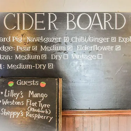 The Dark Horse Pub 布里斯托