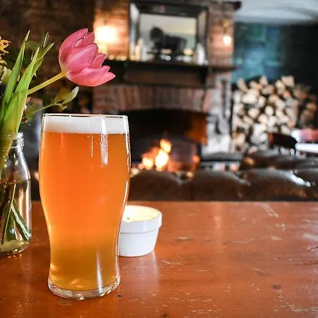 The Dark Horse Pub 3* Bristol