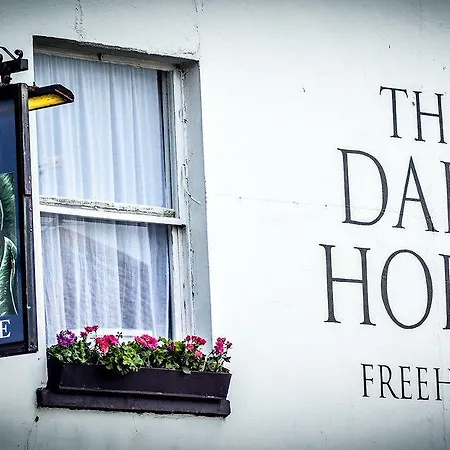 The Dark Horse Pub 3*
