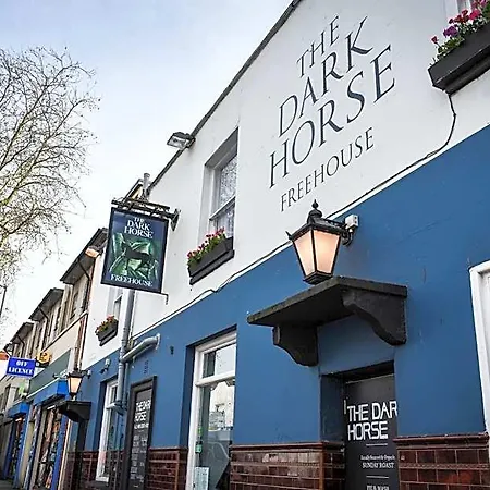 The Dark Horse Pub 3*