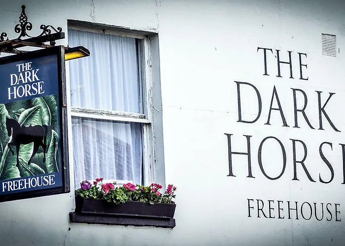 The Dark Horse Pub 3*