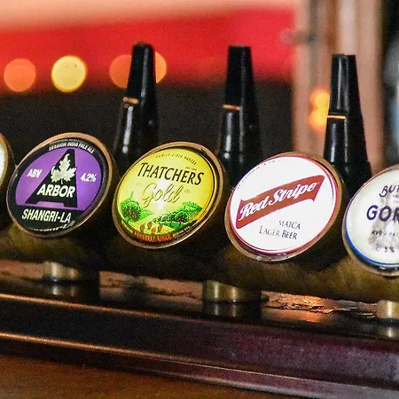 The Dark Horse Pub 3*