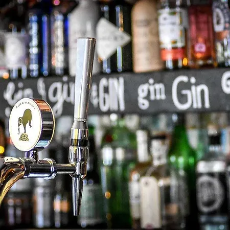 The Dark Horse Pub 3*