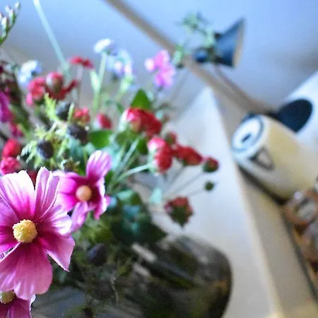 The Dark Horse Pub 3* Bristol