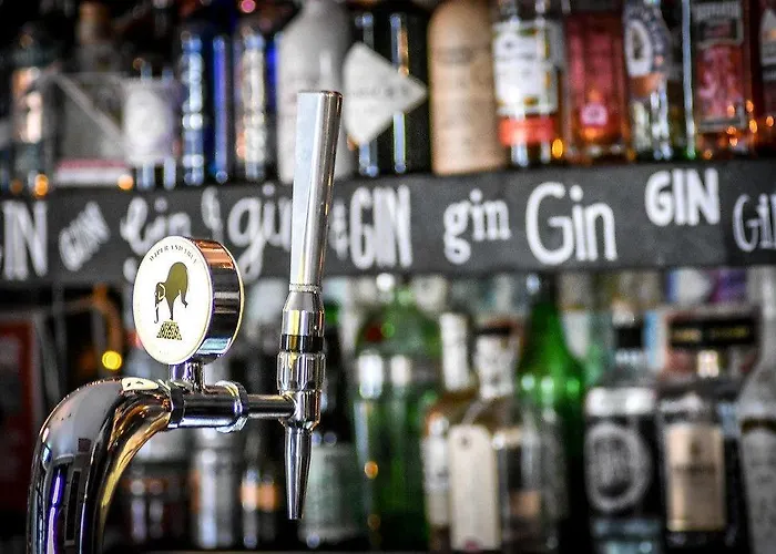 The Dark Horse Pub 3*