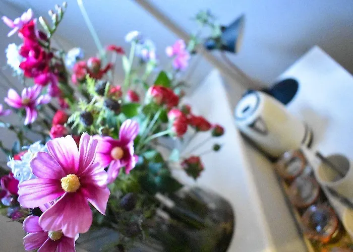 The Dark Horse Pub 3* 布里斯托