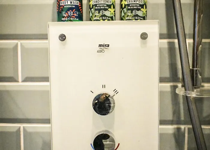 The Dark Horse Pub 宾馆 布里斯托