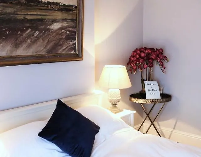 The Dark Horse Pub 3* 布里斯托